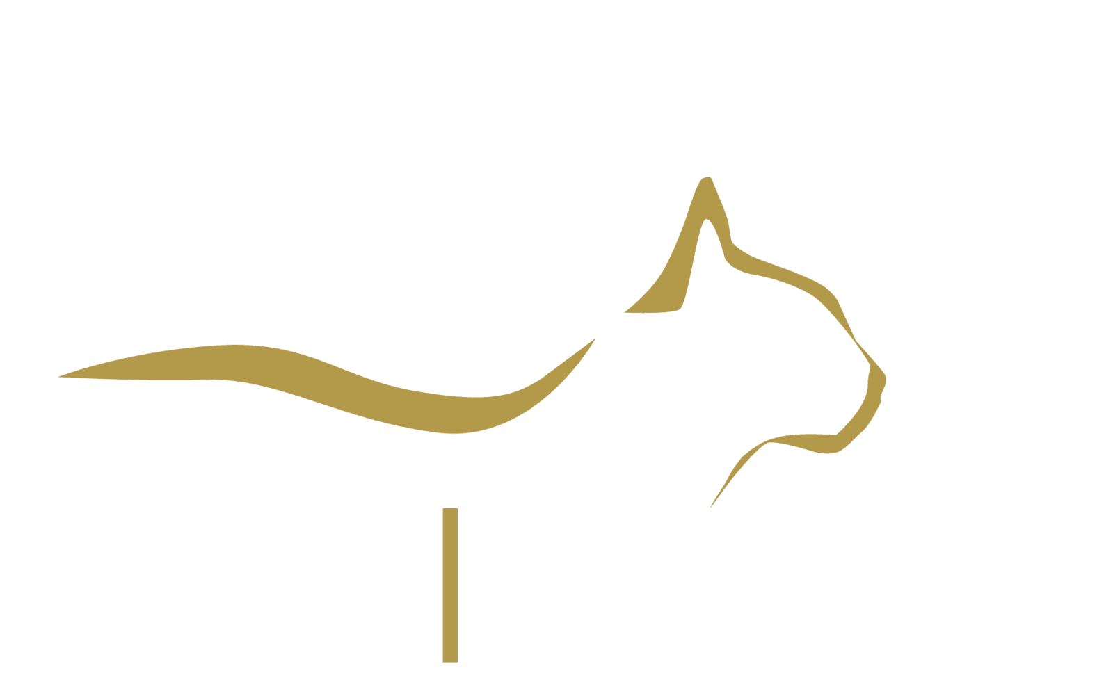 J.A.K | International